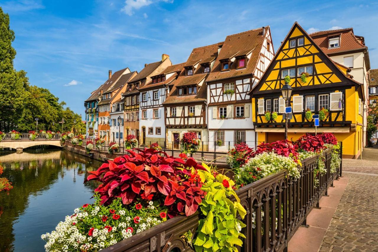 Appartement Orchidees Proche Centre Ville Colmar Exteriör bild